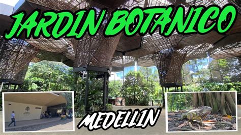 Der Jardín Botánico de Medellín: Ein grünes Paradies mitten in der Stadt!